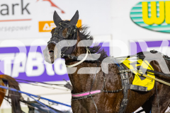 2026_PACEPIX_GP30062026_Race2_NotSoSweet_WIN_WEB-8