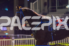 2026_PACEPIX_GP05062026_RACE2_OpalHunter_WIN_WEB-27