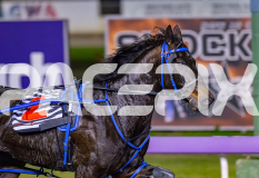 2026_PACEPIX_GP05062026_RACE2_OpalHunter_WIN_WEB-5