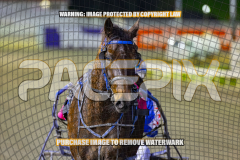 2026_Pacepix_GP31072026_Race2_OpalHunter_WIN_WEB-20
