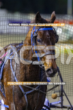 2026_Pacepix_GP31072026_Race2_OpalHunter_WIN_WEB-21