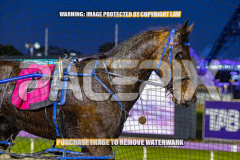 2026_Pacepix_GP31072026_Race2_OpalHunter_WIN_WEB-28
