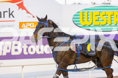 2025_PACEPIX_GP17102025_Race2_OpalHunter_WIN_WEB-16