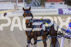 2025_PACEPIX_GP17102025_Race2_OpalHunter_WIN_WEB-19