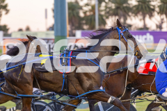 2025_PACEPIX_GP17102025_Race2_OpalHunter_WIN_WEB-4