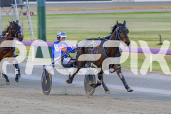 2025_PACEPIX_GP17102025_Race2_OpalHunter_WIN_WEB-7