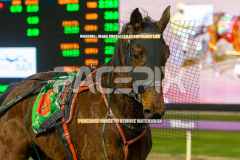 RACE 2 - Our Major Jack