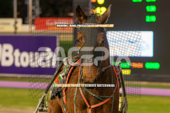 Our-Major-Jack_04-08-2026_WIN_Gloucester-Park_2__02