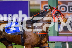 2026_PACEPIX_GP05052026_Race2_Philthejug_WIN_WEB-6