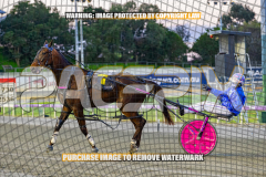 2026_PACEPIX_GP01092026_Race2_PropositionJoe_WIN_WEB-11