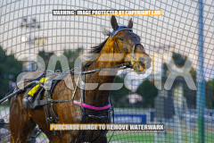 2026_PACEPIX_GP01092026_Race2_PropositionJoe_WIN_WEB-12