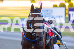 2025_PACEPIX_GP19122025_RACE2_PushbuttonRock_WIN_WEB-11