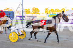 2025_PACEPIX_GP19122025_RACE2_PushbuttonRock_WIN_WEB-12