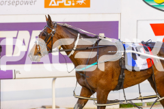 2025_PACEPIX_GP26092025_RACE2_Rebline_WIN_WEB-11