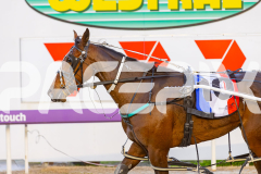 2025_PACEPIX_GP26092025_RACE2_Rebline_WIN_WEB-12