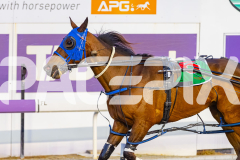 2025_PACEPIX_GP10102025_RACE2_Rockandrollartist_WIN_WEB-18