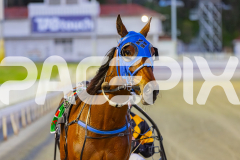 2025_PACEPIX_GP10102025_RACE2_Rockandrollartist_WIN_WEB-19