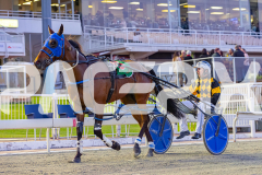 2025_PACEPIX_GP10102025_RACE2_Rockandrollartist_WIN_WEB-23