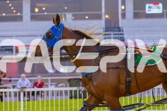 2025_PACEPIX_GP10102025_RACE2_Rockandrollartist_WIN_WEB-25