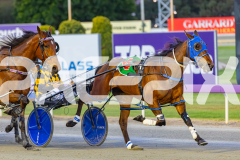 2025_PACEPIX_GP10102025_RACE2_Rockandrollartist_WIN_WEB-4