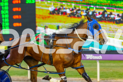 2025_PACEPIX_GP10102025_RACE2_Rockandrollartist_WIN_WEB-5