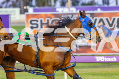 2025_PACEPIX_GP10102025_RACE2_Rockandrollartist_WIN_WEB-6