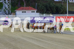2025_PACEPIX_GP10102025_RACE2_Rockandrollartist_WIN_WEB-8
