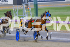 2025_PACEPIX_GP10102025_RACE2_Rockandrollartist_WIN_WEB-9