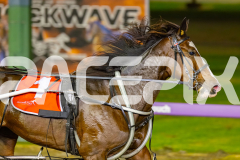 2026_PACEPIX_GP15052026_Race2_RubyLou_WIN_WEB-11
