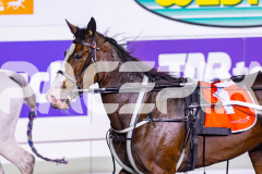 2026_PACEPIX_GP15052026_Race2_RubyLou_WIN_WEB-13