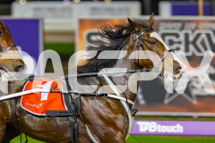 2026_PACEPIX_GP15052026_Race2_RubyLou_WIN_WEB-4