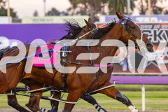 2025_PACEPIX_GP16092025_Race2_RumbleStrip_WIN_WEB-10