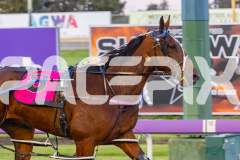 2025_PACEPIX_GP16092025_Race2_RumbleStrip_WIN_WEB-20