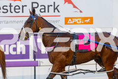 2025_PACEPIX_GP16092025_Race2_RumbleStrip_WIN_WEB-22