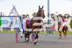 2025_PACEPIX_GP16092025_Race2_RumbleStrip_WIN_WEB-24