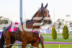 2025_PACEPIX_GP16092025_Race2_RumbleStrip_WIN_WEB-25