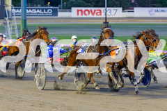 RACE 2 - Salsawithsierra