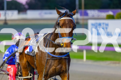2026_PACEPIX_GP26052026_RACE2_Salsawithsierra_WIN_WEB-15