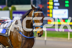2026_PACEPIX_GP26052026_RACE2_Salsawithsierra_WIN_WEB-16
