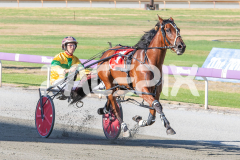 Seaside-Serenade_17-02-2026_WIN_Cloucester-Park_2__04
