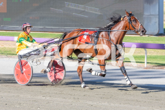 Seaside-Serenade_17-02-2026_WIN_Cloucester-Park_2__06