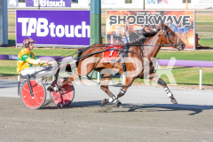 Seaside-Serenade_17-02-2026_WIN_Cloucester-Park_2__07