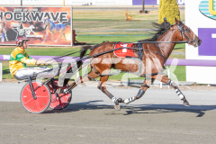 Seaside-Serenade_17-02-2026_WIN_Cloucester-Park_2__08