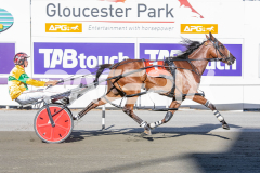 Seaside-Serenade_17-02-2026_WIN_Cloucester-Park_2__09