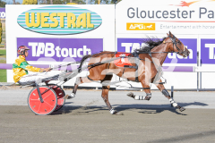 Seaside-Serenade_17-02-2026_WIN_Cloucester-Park_2__10