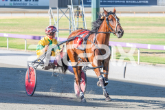Seaside-Serenade_17-02-2026_WIN_Cloucester-Park_2__11