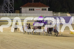2025_PACEPIX_GP01072025_Race2_Shehadi_WIN_WEB-1