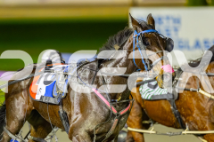 2025_PACEPIX_GP01072025_Race2_Shehadi_WIN_WEB-14