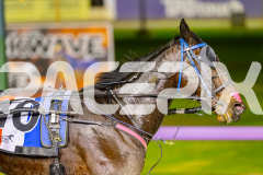 2025_PACEPIX_GP01072025_Race2_Shehadi_WIN_WEB-15