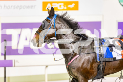 2025_PACEPIX_GP01072025_Race2_Shehadi_WIN_WEB-17